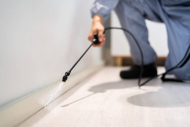 Licensed Termite Control service in Buckhannon, WV - Nex Pest Control