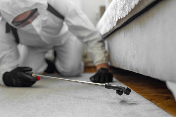 Professional Termite Control technician working in Buckhannon, WV