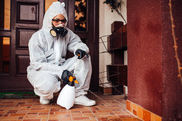 Reliable Termite Control contractor in Buckhannon, WV by Nex Pest Control