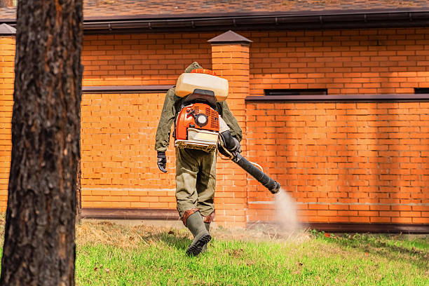 Trusted Emergency Pest Control service in Buckhannon, WV - Nex Pest Control